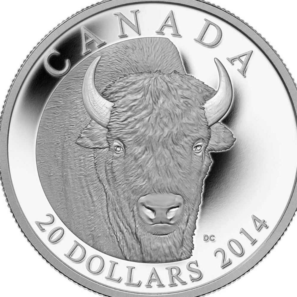 2014 RCM $20 The Bison Coins